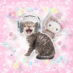 a cat with its mouth open and headphones on