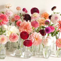 several vases filled with different colored flowers