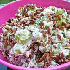 a pink bowl filled with salad and nuts on top of a blue tablecloth next to a green grass covered field