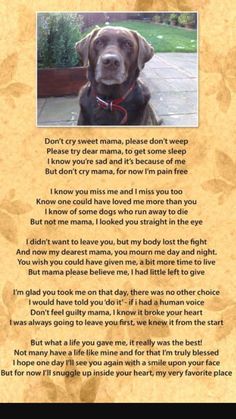 a brown dog sitting on top of a wooden floor next to a poem written in front of it