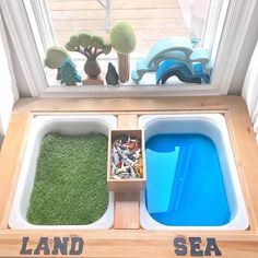 two trays filled with different types of plants and rocks in front of a window