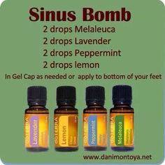 three bottles of sinus bomb essential oil on a green background with the words sinus bomb