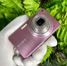 a person holding up a pink camera in front of some green plants and bushes with their hands