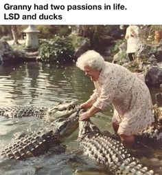 an old woman is cleaning up some alligators in the water with her hands and feet