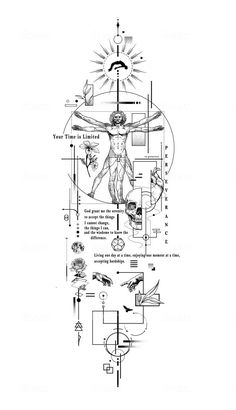 an image of the human body in black and white, with diagrams for each section