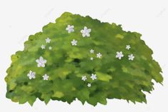 a green tree with white flowers on it's branches, illustration, drawing png and psd