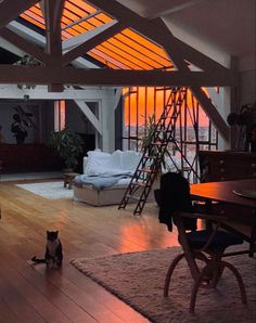 a cat sitting on the floor in front of a living room with wooden floors and windows