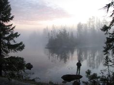 a person standing on the edge of a body of water surrounded by trees and fog