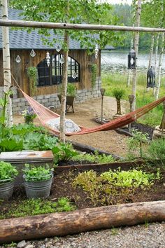 a hammock hanging in the middle of a garden