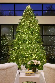 a living room with a large christmas tree in the center and two chairs around it