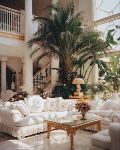 a living room filled with white couches and a tall palm tree in the corner