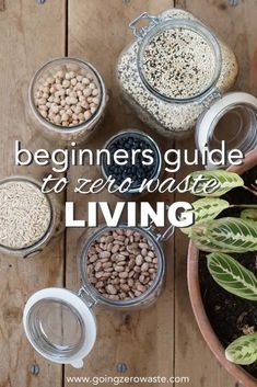 the beginner's guide to zero waste living by growing seeds in glass containers