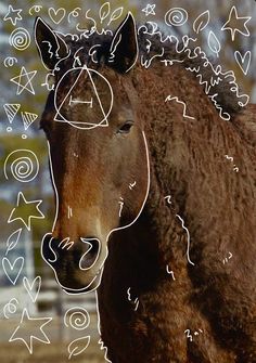 a brown horse standing on top of a field next to a forest filled with trees