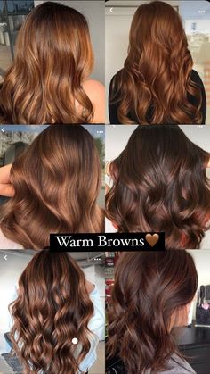 Chocolate Bronze Hair, Brunette With Red Undertones Warm Browns, Cinnamon Hair Color Brown, Chesnutt Hair Color, Autumn Season Hair Color, Warm Cinnamon Hair Color, Haircolor Ideas For 2024, Fall Haircolors 2023, Red Toner For Brown Hair