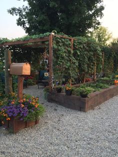 an outdoor garden with lots of plants and flowers in the center, along with a mailbox