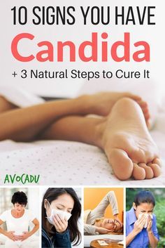 Candida Overgrowth Symptoms, Candida Symptoms, Kat Diy, Candida Diet Recipes, Candida Cleanse, Candida Overgrowth, Stomach Issues, Candida Diet, Good Health Tips