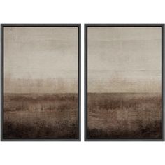 two framed art pieces with brown and beige tones