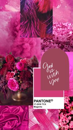 pantone's pink and red color scheme with flowers