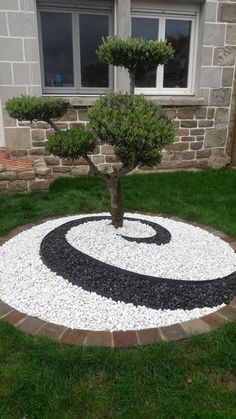 a small tree sitting in the middle of a circular rock garden area with gravel around it