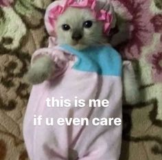 a small kitten wearing a pink and blue outfit laying on top of a bed with the caption, this is me if u even care