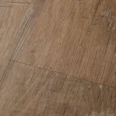 an orange cat laying on top of a wooden floor