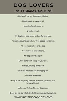 Looking for the perfect captions to show your love for dogs on Instagram? Discover 45+ delightful dog lover Instagram captions that will melt hearts and make tails wag. From heartwarming quotes to playful puns, find the ideal caption to accompany your adorable canine photos. Unleash your creativity and capture the essence of your furry friend in words. Get ready to fetch those double taps and unleash the cuteness overload! Quote For Dogs Instagram, Aesthetic Dog Quotes, Dog Lover Captions For Instagram, Cute Dog Quotes For Instagram, Dog Short Quotes, Instagram Captions With Dogs, Dog Photo Captions Instagram, Funny Dog Captions For Instagram