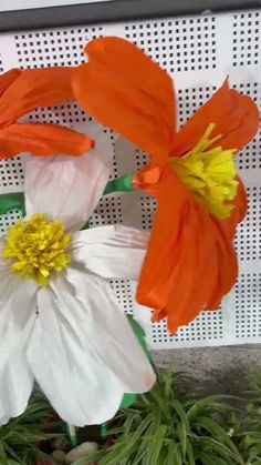 two orange and white flowers sitting on top of green plants in front of a screen