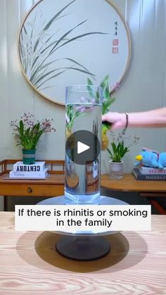 3.2M views · 41K reactions | Growing aquatic plants. 🌱learn more at farmhydrosupplies.com. #farming #agriculture #gardening #aquarium #hydroponics | Farmhydrosupplies Amazing Garden Ideas, Air Cleaning Plants, Aquatic Plant, Greenhouse Plants, Garden Mini, Plants Garden, Plant Lighting