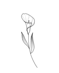 a black and white drawing of a flower