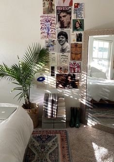 a room with a bed, mirror and plant in it on the floor next to a rug