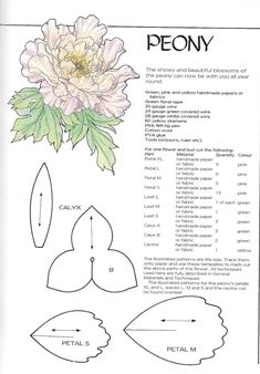 the peony pattern is shown with instructions to make it