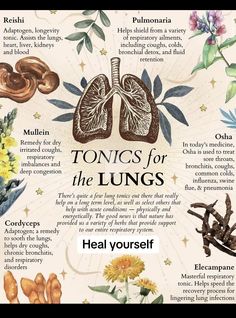 Lung Health, Herbal Remedies Recipes, Lungs Health, Herbal Recipes, Environmental Pollution