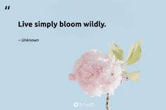 a pink flower with a quote on it that says, live simply bloom wildly