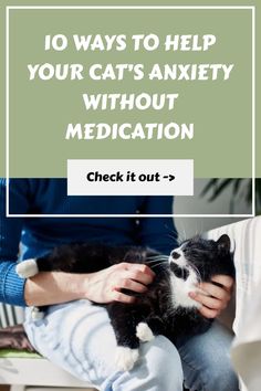 Unlike humans, cats can’t describe exactly how they’re feeling, but they use their behavior and body language to communicate distress and negative emotions to their fur parents. Anxiety in cats can show up in subtle