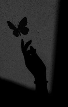 a person holding a butterfly in their hand, casting a shadow on the wall behind them