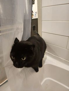 a black cat standing on the edge of a bathtub next to a shower curtain