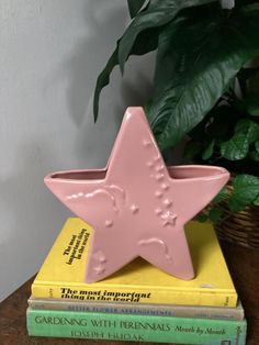 a stack of books sitting on top of a table next to a pink star shaped planter