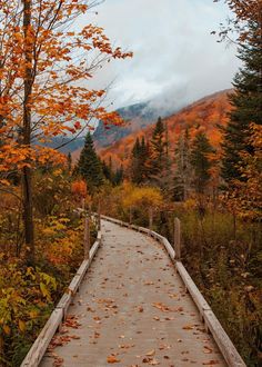 a wooden bridge surrounded by trees with fall leaves on the ground and mountains in the background