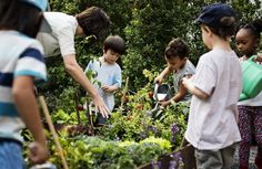 a group of people standing around each other in a garden