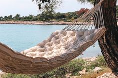 a hammock hanging from a tree near the water