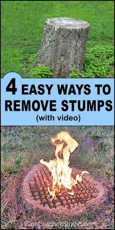 the four easy ways to remove stumps with video on fire pit and tree stump