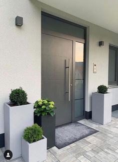 two planters with plants are in front of a door