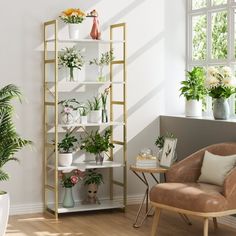 a living room filled with lots of potted plants next to a chair and table