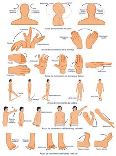 an image of the human body showing different positions and gestures for each individual to see