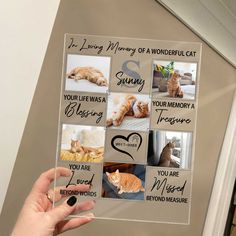 a hand holding up a clear photo frame with pictures of cats and words on it