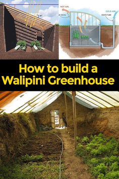 how to build a wallpini greenhouse in your backyard with pictures and text overlay