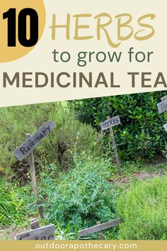 the words herbs to grow for medical tea are in front of some signs