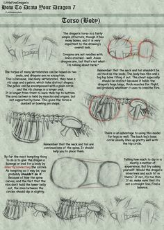 an instruction manual for how to draw glasses