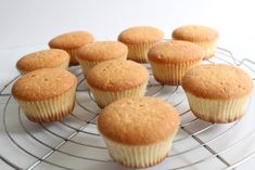 twelve muffins on a wire rack ready to be eaten