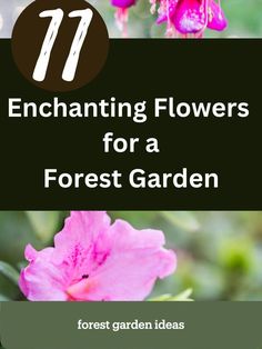 forest flowers Landscaping Backyard, Forest Aesthetic, Best Flowers